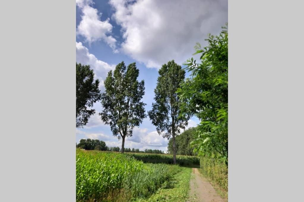 Brabants Genoegen Heeswijk Dinther Extérieur photo